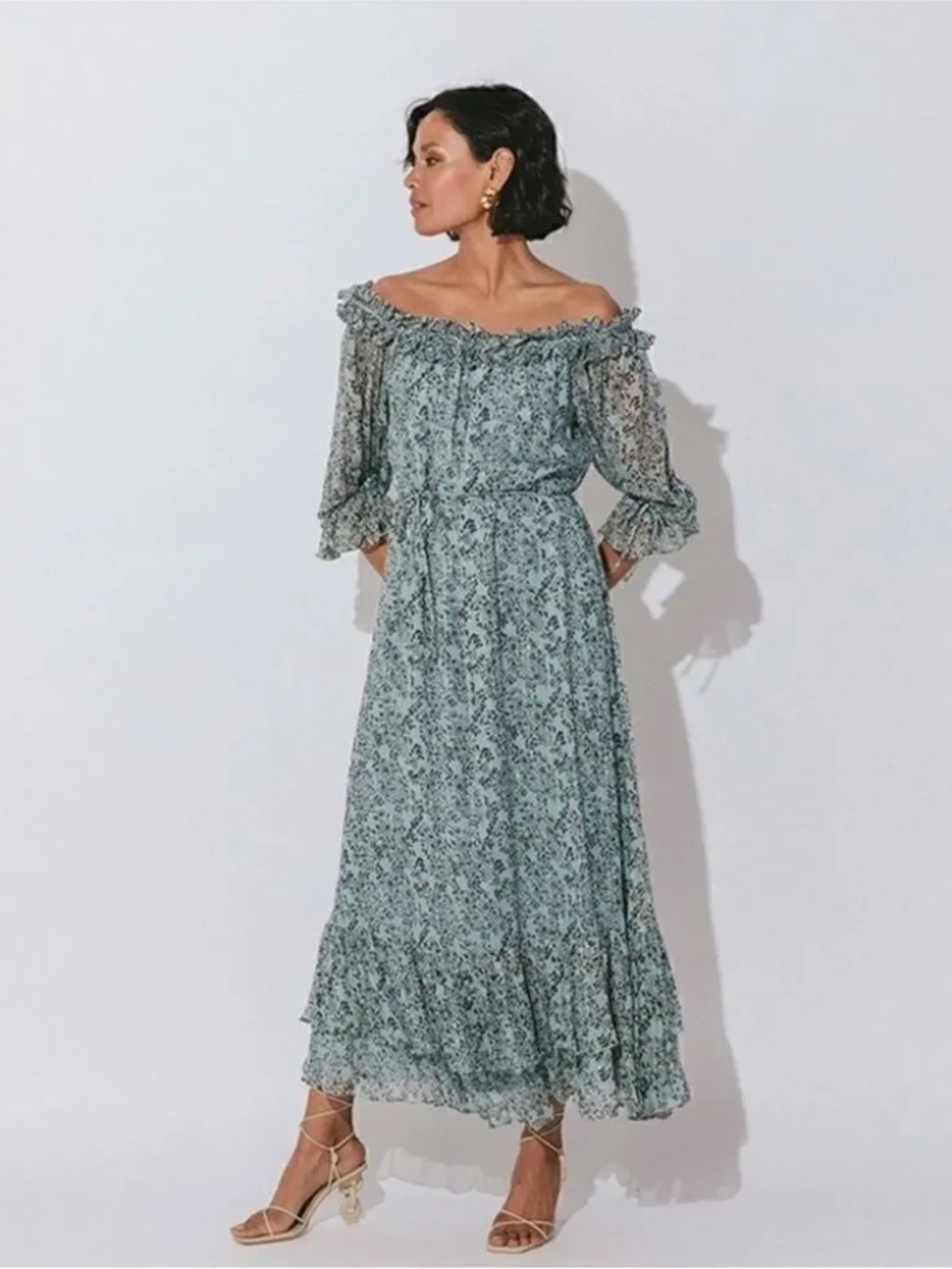 Cleobella Livia Chiffon Metallic Maxi Dress L